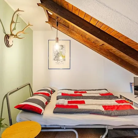 Appartement Schoene Gemuetliche Unter Dem Dach Vöhrenbach