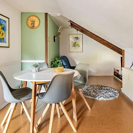 Schoene Gemuetliche Unter Dem Dach Vöhrenbach